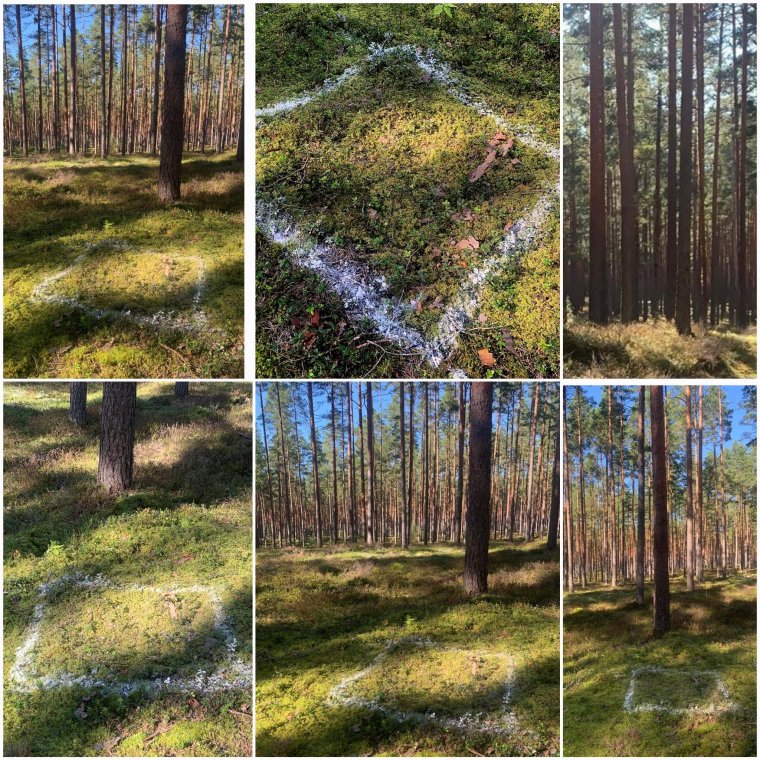 Carmen Heemels - 1m2 - Estonia 2025 (2)