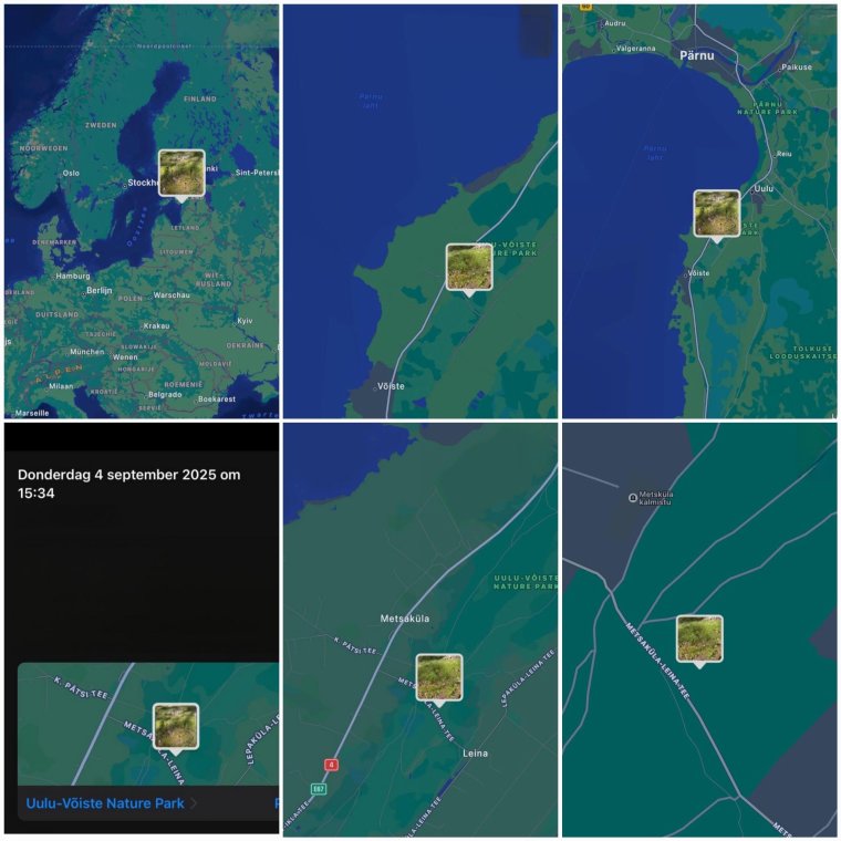 Carmen Heemels - 1m2 - Estonia 2025 (3)