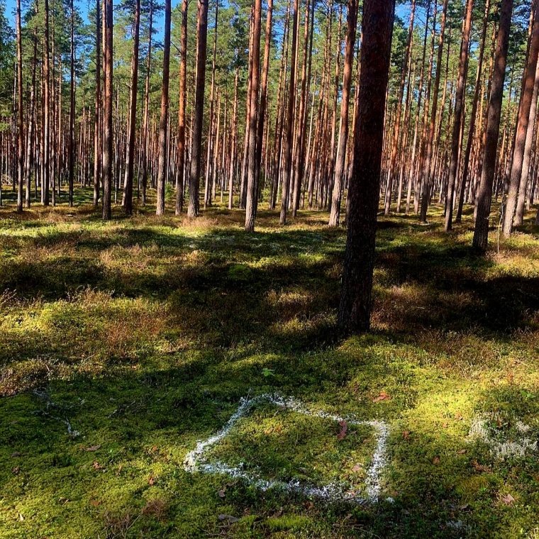 Carmen Heemels - 1m2 - Estonia 2025 (6)